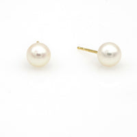 Assael Essentials Akoya Pearl Stud Earrings in 18k Yellow Gold