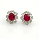 12.99 ct Ruby and Diamond Oval Earrings in 18k White Gold