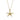 Tiffany & Co. Elsa Peretti Starfish Necklace in 18k Yellow Gold